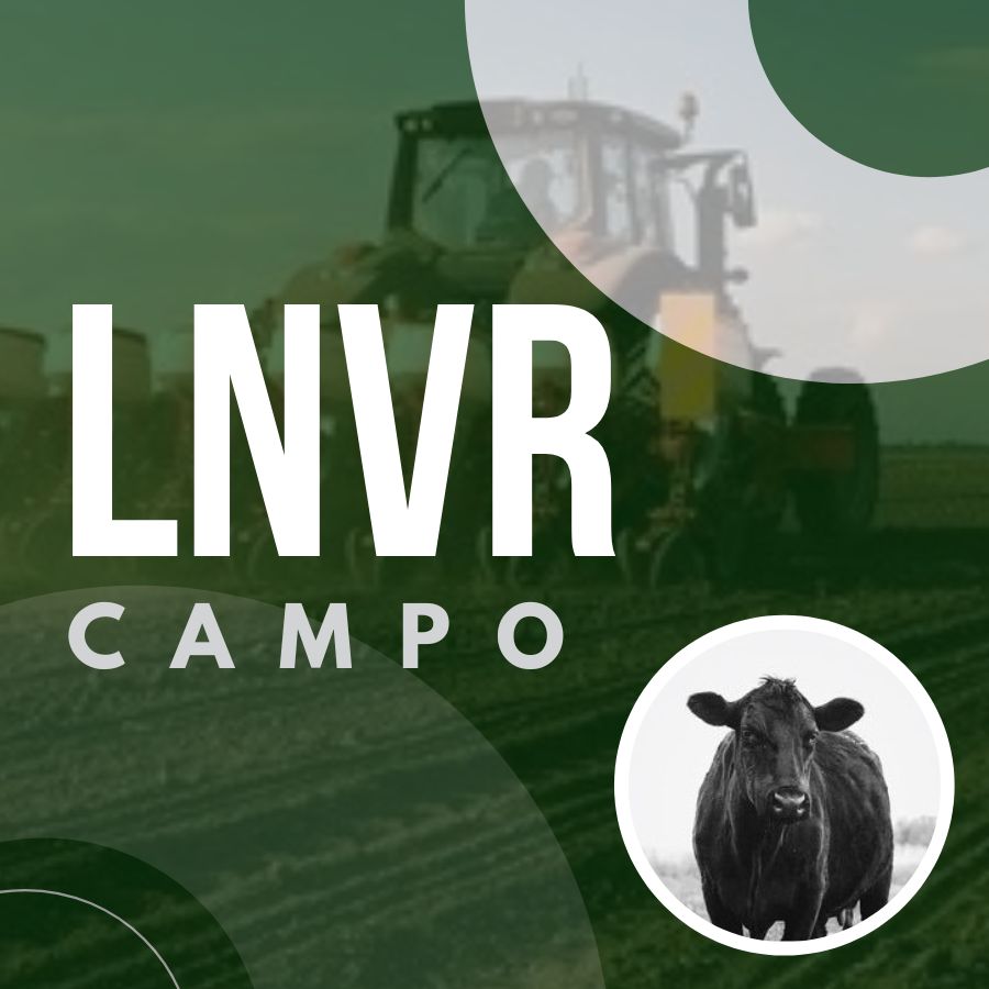 LNVR CAMPO
