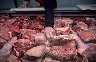 CARNE