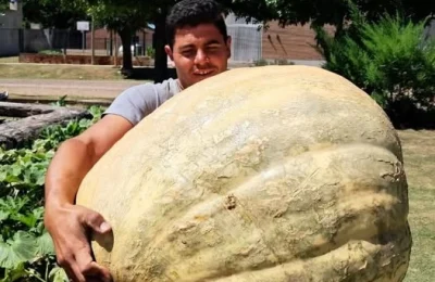 Calabaza-gigante
