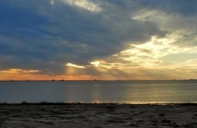 LAGUNA (1)