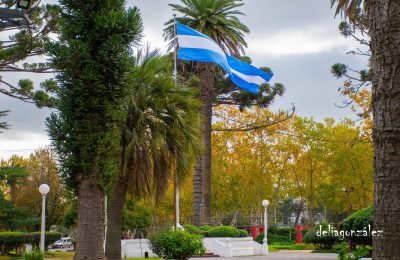 PLAZA