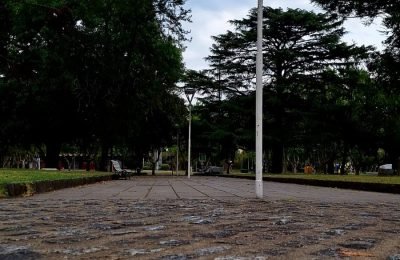 PLAZaNUBLADO