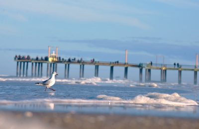 Villa-Gesell