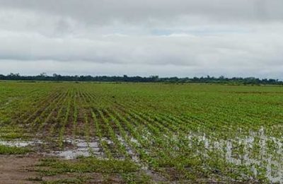 campo-agua