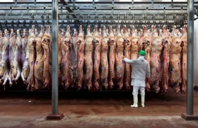 carne-696x392