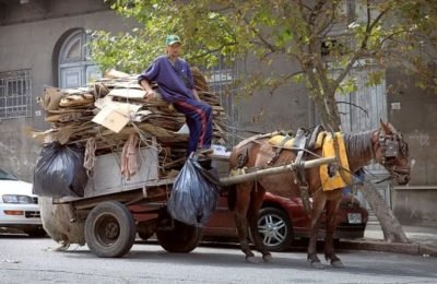 carroCABALLO (1)