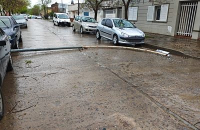 columna (1)