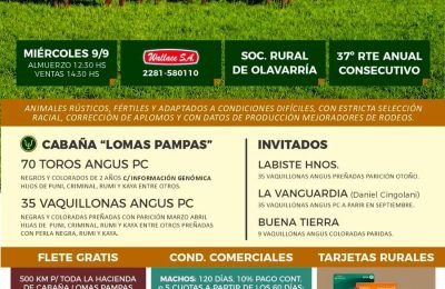 lomas (1)