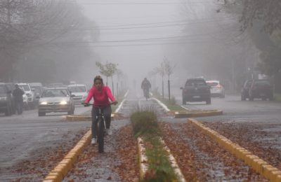 niebla
