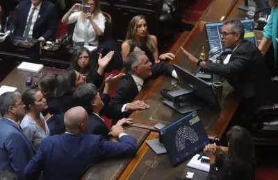 oposicion-martin-menem-pelea-diputados