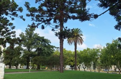 plazas1